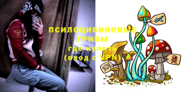 а пвп мука Бородино