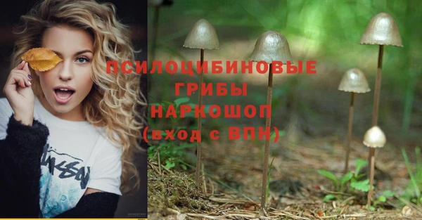 а пвп мука Богородицк