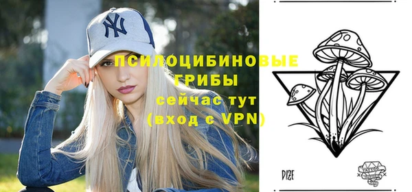 хмурый Богородск